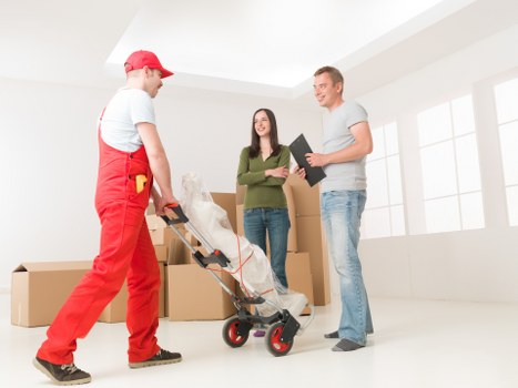 Professional man and van moving boxes in Walthamstow